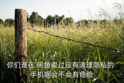 你們誰在 閑魚賣過沒有清理隱私的 手機(jī)啊會不會有危險