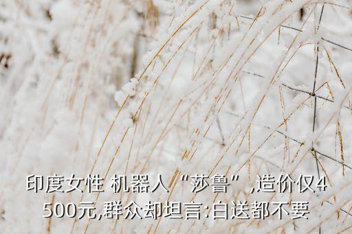 印度女性 機(jī)器人“莎魯”,造價(jià)僅4500元,群眾卻坦言:白送都不要