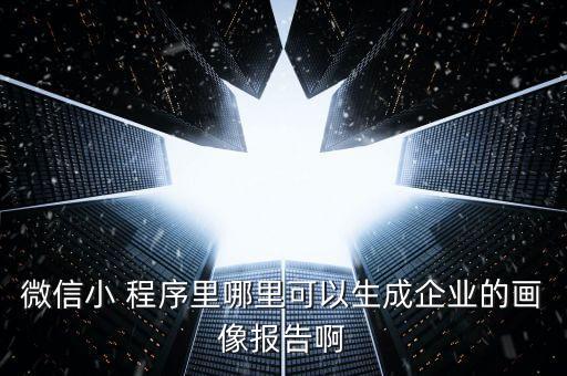微信小 程序里哪里可以生成企業(yè)的畫像報(bào)告啊