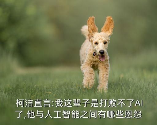 機(jī)器人大戰(zhàn)柯潔