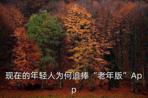 現(xiàn)在的年輕人為何追捧“老年版”App