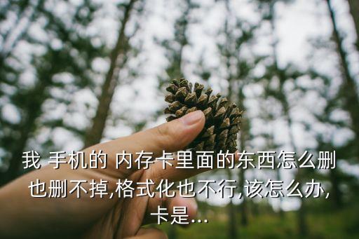 我 手機(jī)的 內(nèi)存卡里面的東西怎么刪也刪不掉,格式化也不行,該怎么辦,卡是...