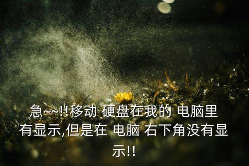 西部數(shù)據(jù)移動硬盤右下角有圖標但我的電腦里找不到摔了下就這樣了