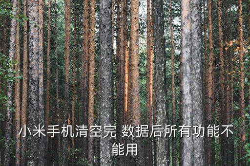  小米手機(jī)清空完 數(shù)據(jù)后所有功能不能用