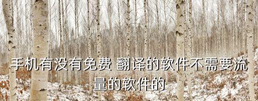 手機(jī)有沒有免費(fèi) 翻譯的軟件不需要流量的軟件的
