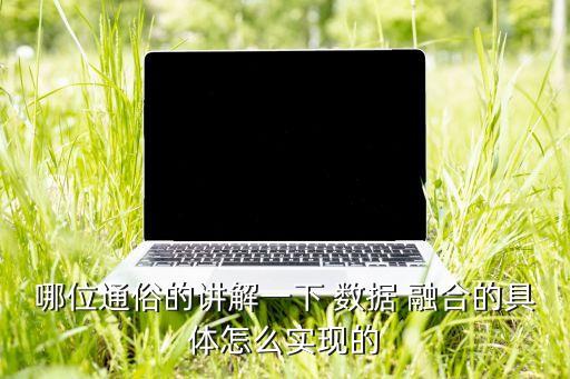 數(shù)據(jù)融合數(shù)據(jù)級,TM數(shù)據(jù)和spot數(shù)據(jù)融合