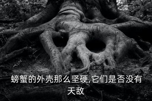 螃蟹殼做機(jī)器人圖片大全圖片大全圖片