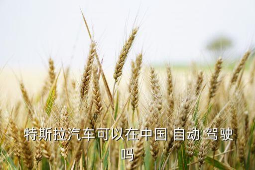  特斯拉汽車可以在中國 自動(dòng) 駕駛嗎