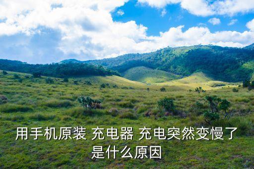 用手機(jī)原裝 充電器 充電突然變慢了是什么原因