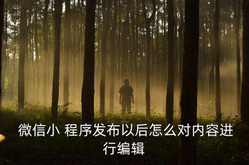  微信小 程序發(fā)布以后怎么對(duì)內(nèi)容進(jìn)行編輯