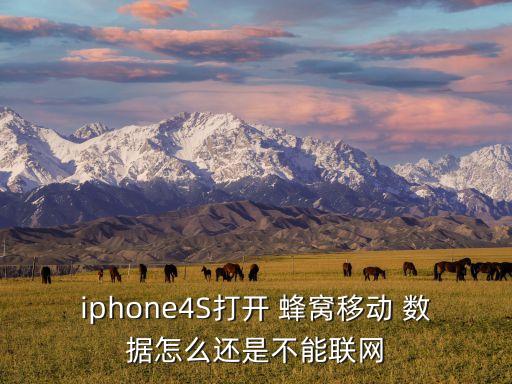 iphone4S打開(kāi) 蜂窩移動(dòng) 數(shù)據(jù)怎么還是不能聯(lián)網(wǎng)