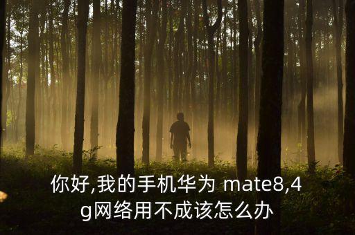 mate8移動(dòng)數(shù)據(jù)上不去網(wǎng),華為mate8移動(dòng)數(shù)據(jù)打不開(kāi)