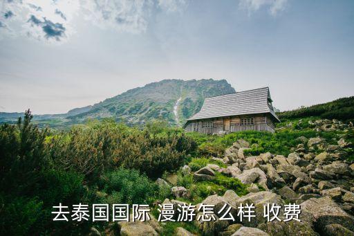 t漫游數(shù)據(jù)收費(fèi)嗎,美版數(shù)據(jù)漫游打開會(huì)不會(huì)收費(fèi)