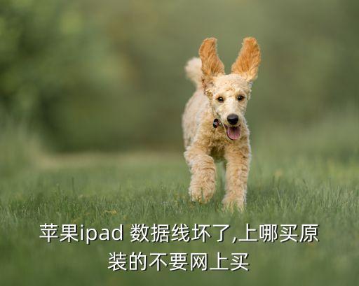 數(shù)據(jù)線接頭注塑,ppr接頭的注塑工藝
