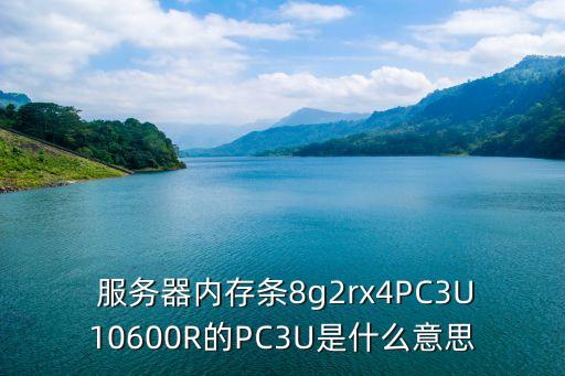  服務(wù)器內(nèi)存條8g2rx4PC3U10600R的PC3U是什么意思