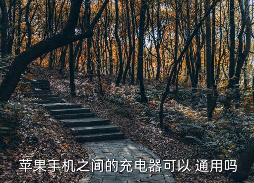 蘋(píng)果5.6.7數(shù)據(jù)線通用嗎
