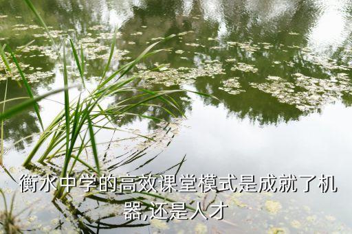 衡水文本閱讀機(jī)器人,衡水哪里有賣機(jī)器人的