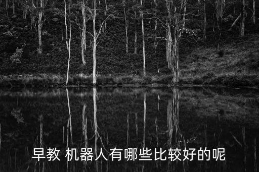 早教 機(jī)器人有哪些比較好的呢