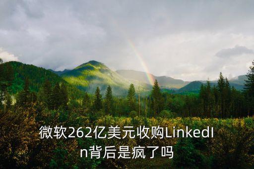 微軟262億美元收購LinkedIn背后是瘋了嗎