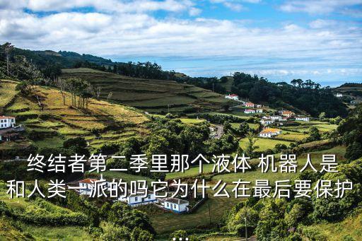 終結(jié)者液態(tài)機器人弱點