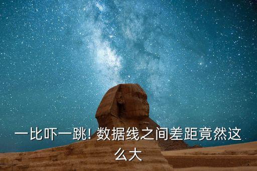 一比嚇一跳! 數(shù)據(jù)線之間差距竟然這么大