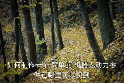 簡單的小機器人怎么做的,廢舊物品做簡單機器人