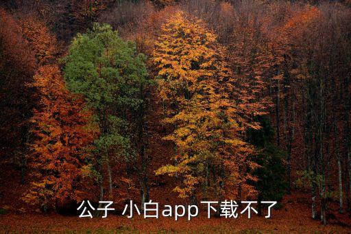  公子 小白app下載不了