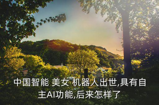 中國(guó)智能 美女 機(jī)器人出世,具有自主AI功能,后來(lái)怎樣了