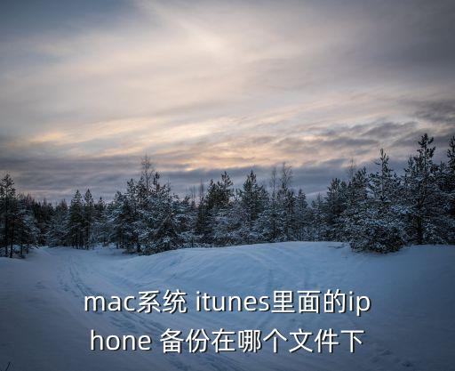 mac系統(tǒng) itunes里面的iphone 備份在哪個(gè)文件下