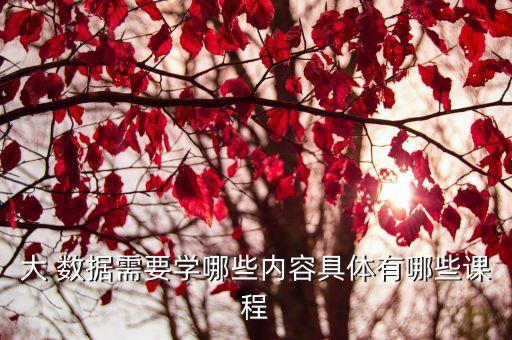 大 數(shù)據(jù)需要學哪些內容具體有哪些課程