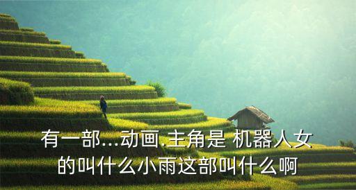 美女機(jī)器人的胸部