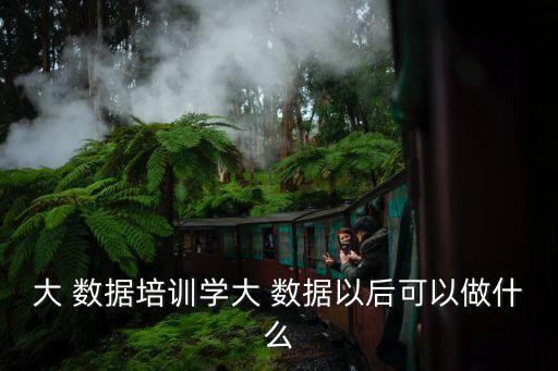 計算機大數(shù)據(jù)干什么了