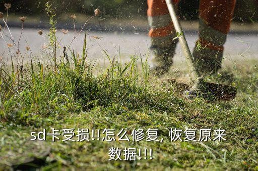 sd卡受損!!怎么修復, 恢復原來 數(shù)據(jù)!!!