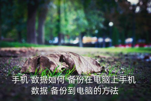 手機(jī) 數(shù)據(jù)如何 備份在電腦上手機(jī) 數(shù)據(jù) 備份到電腦的方法