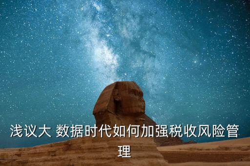 淺議大 數(shù)據(jù)時(shí)代如何加強(qiáng)稅收風(fēng)險(xiǎn)管理