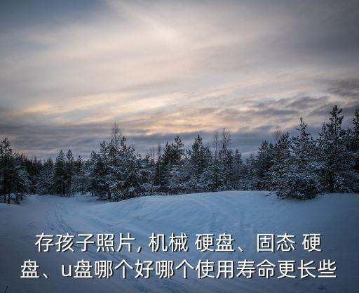 存孩子照片, 機(jī)械 硬盤(pán)、固態(tài) 硬盤(pán)、u盤(pán)哪個(gè)好哪個(gè)使用壽命更長(zhǎng)些