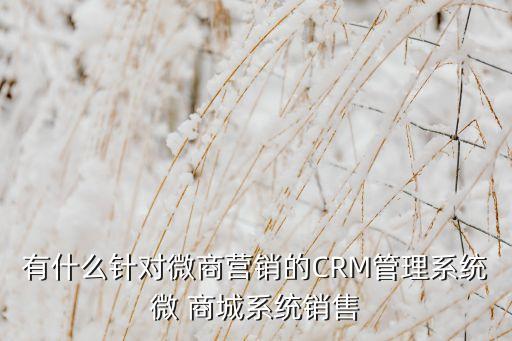 有什么針對微商營銷的CRM管理系統微 商城系統銷售
