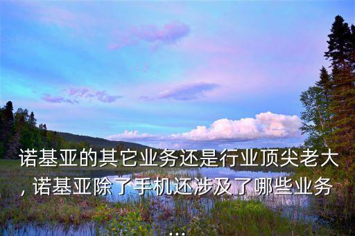  諾基亞的其它業(yè)務(wù)還是行業(yè)頂尖老大, 諾基亞除了手機(jī)還涉及了哪些業(yè)務(wù)...