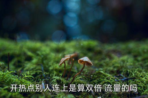 開熱點別人連上是算雙倍 流量的嗎