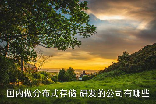 國內(nèi)做分布式存儲 研發(fā)的公司有哪些