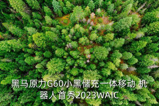 黑馬原力G60小黑儲(chǔ)充一體移動(dòng) 機(jī)器人首秀2023WAIC