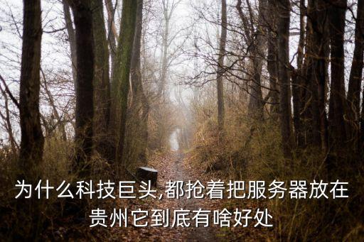 為什么科技巨頭,都搶著把服務(wù)器放在貴州它到底有啥好處