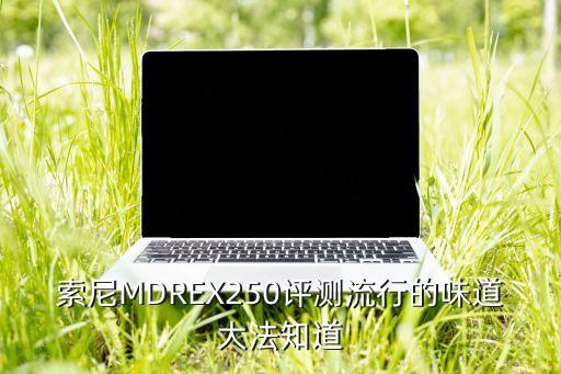 sonyex250數(shù)據(jù)投影機