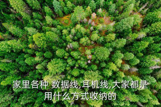 固定在桌子上的數(shù)據(jù)線,把數(shù)據(jù)線固定在桌子上
