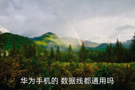 華為手機(jī)的 數(shù)據(jù)線都通用嗎