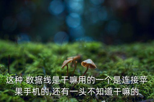 這種 數(shù)據(jù)線是干嘛用的一個是連接蘋果手機的,還有一頭不知道干嘛的