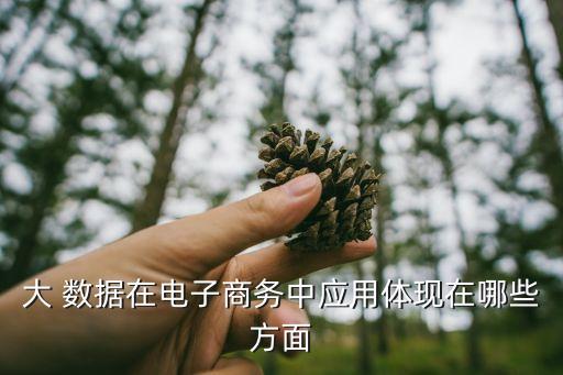 大 數(shù)據(jù)在電子商務(wù)中應(yīng)用體現(xiàn)在哪些方面
