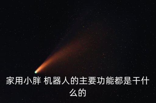 家用小胖 機(jī)器人的主要功能都是干什么的