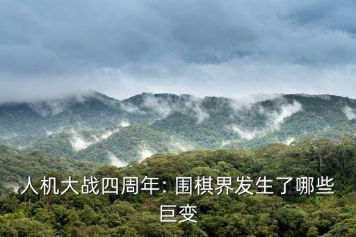 機器人與人pk圍棋,人與人圍棋在線對弈
