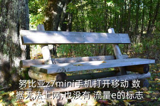 努比亞z7mini手機(jī)打開(kāi)移動(dòng) 數(shù)據(jù)無(wú)法上網(wǎng),也沒(méi)有 流量e的標(biāo)志